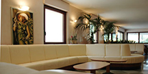 Hotel Commodore Cervia